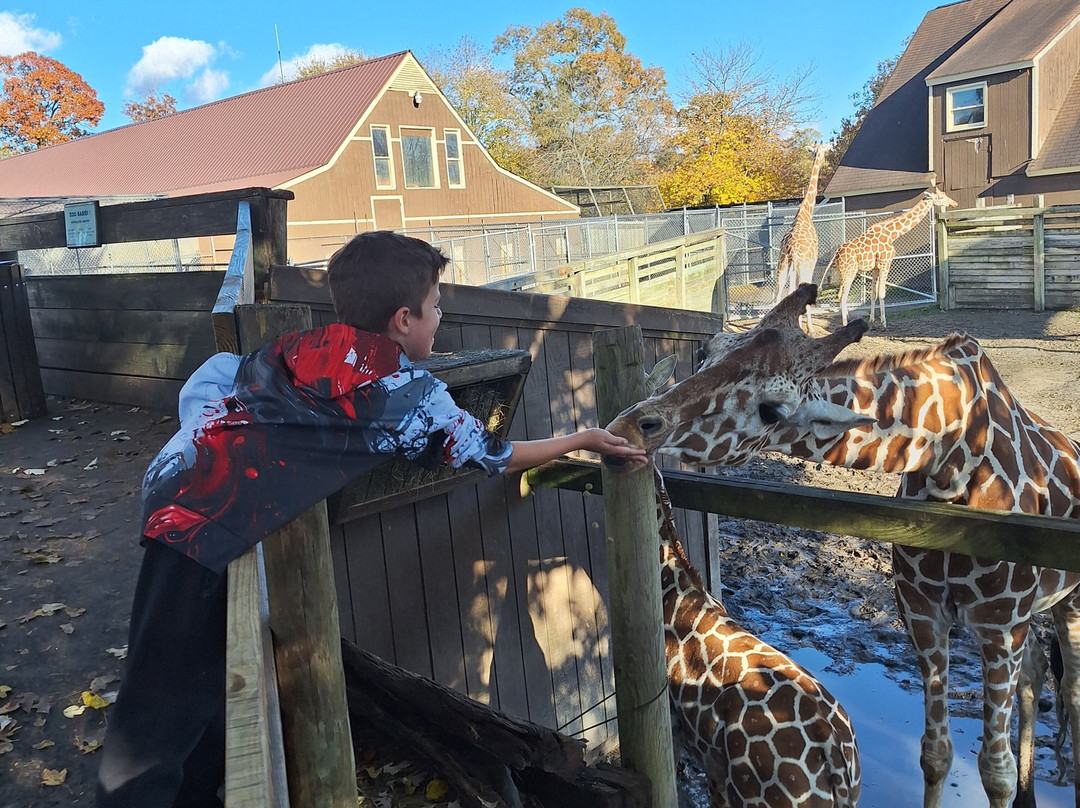 Metro Richmond Zoo-Moseley必去景点