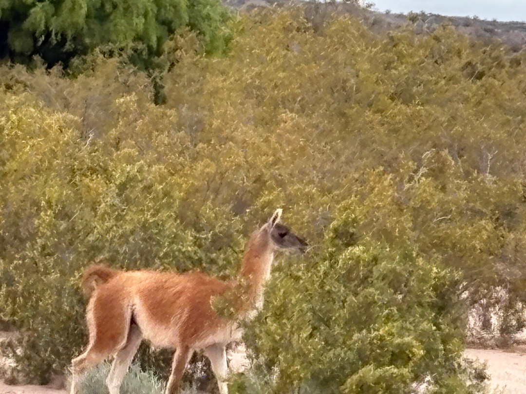 Parque Nacional Talampaya-Villa Union必去景点