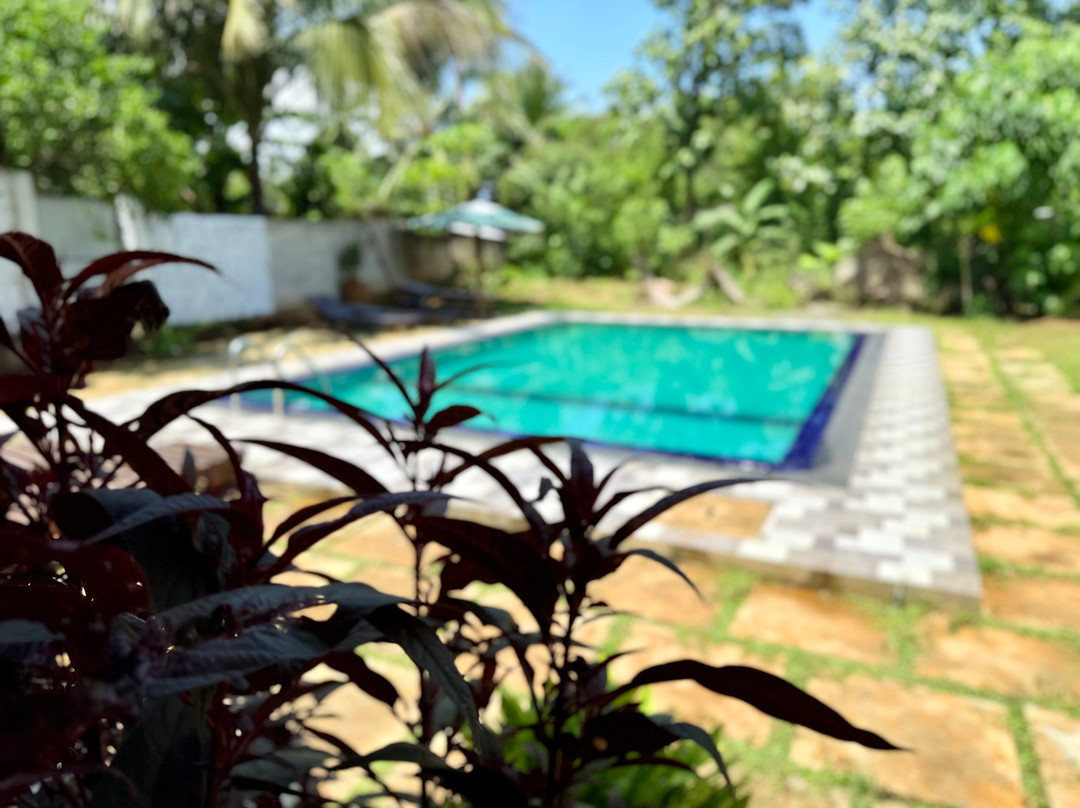 Maika Safari Lodge-乌达瓦拉瓦必去景点