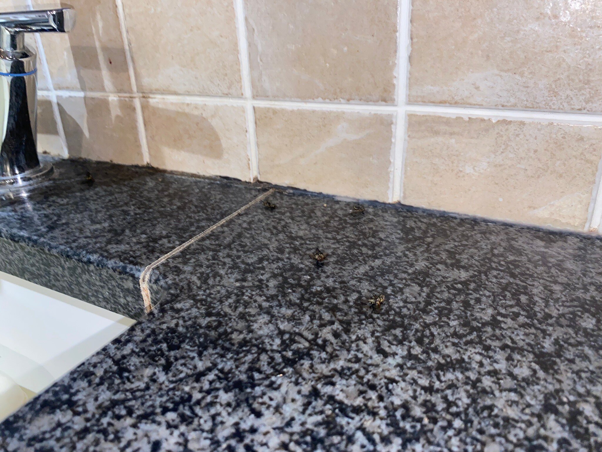 Fosse Farmhouse-官方