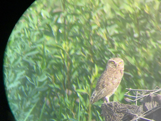 Peruresponsabile-利马必去景点