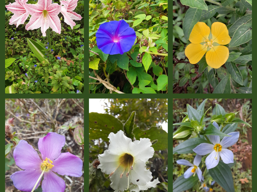 Knuckles Nature Tours-Teldeniya必去景点