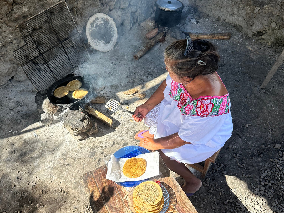 Yucatan Cenote Eco-Aventuras-Progreso必去景点