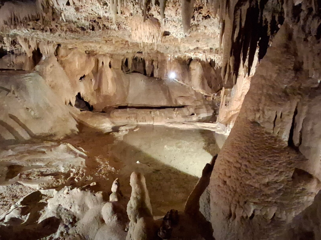 Inner Space Cavern-Georgetown必去景点
