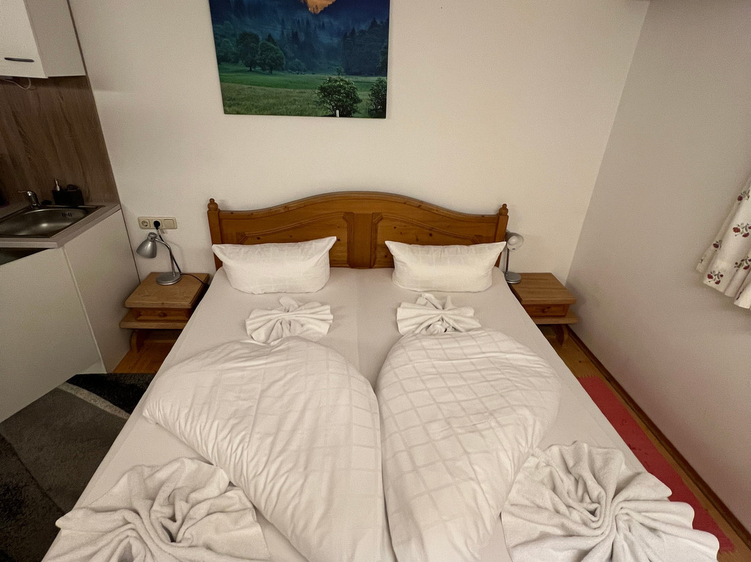 祖姆斯彻鲁恩古斯霍夫酒店主图