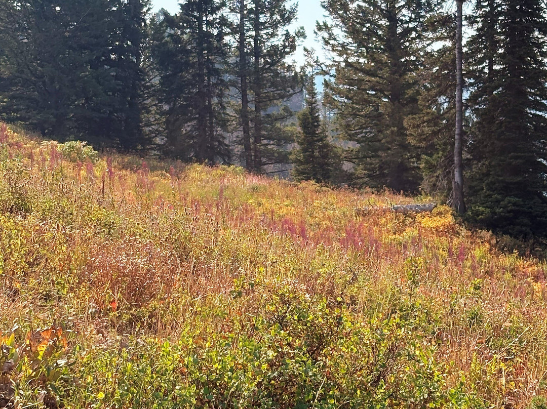 Dry Ridge Outfitters-德里格斯必去景点