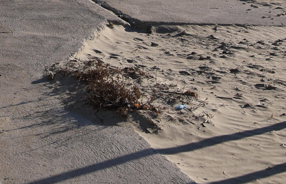 Plage Rive Gauche-帕拉瓦莱弗洛必去景点