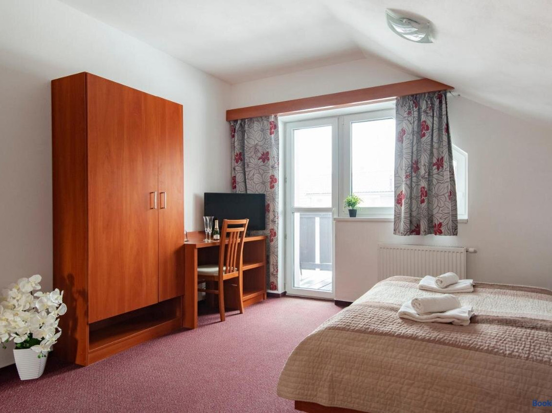 Pension Borievka主图