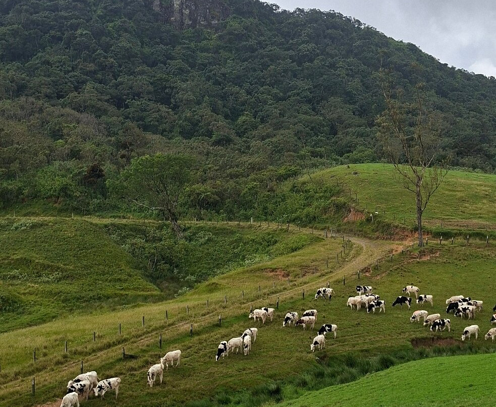 Ambewela Farms-奴娃拉伊利雅必去景点