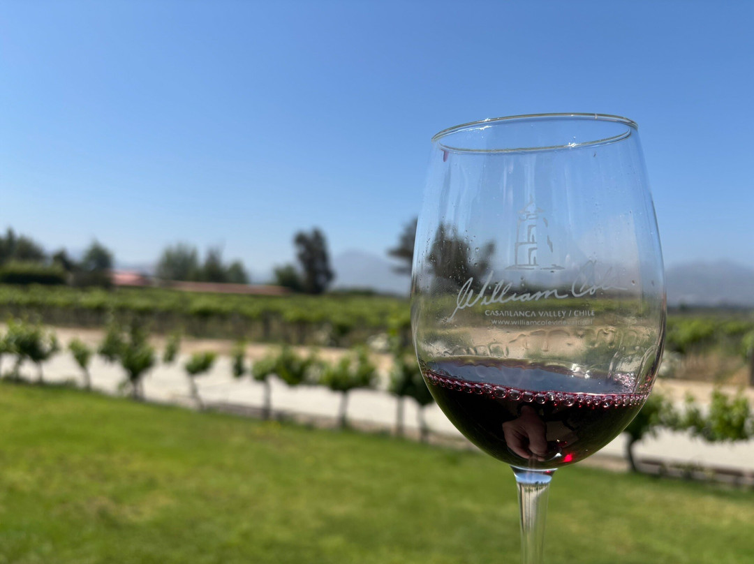 William Cole Vineyards-卡萨布兰卡必去景点