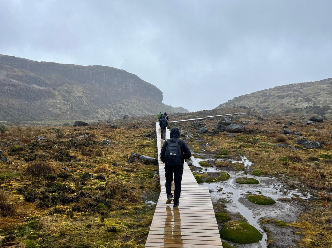 Somos Monos Travel-佩雷拉必去景点