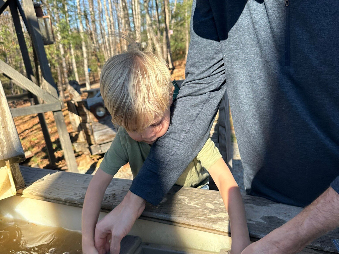 Byrds Branch Gem Mining-Elkin必去景点