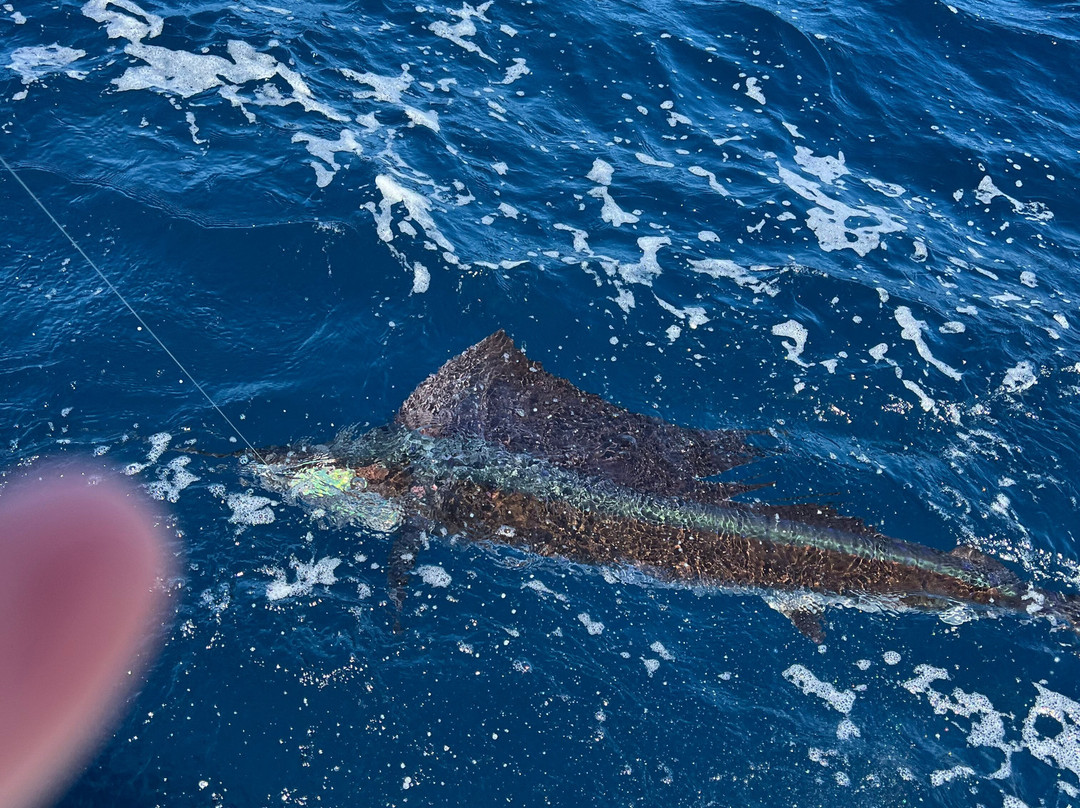 True Blue Sportfishing-St. George's必去景点