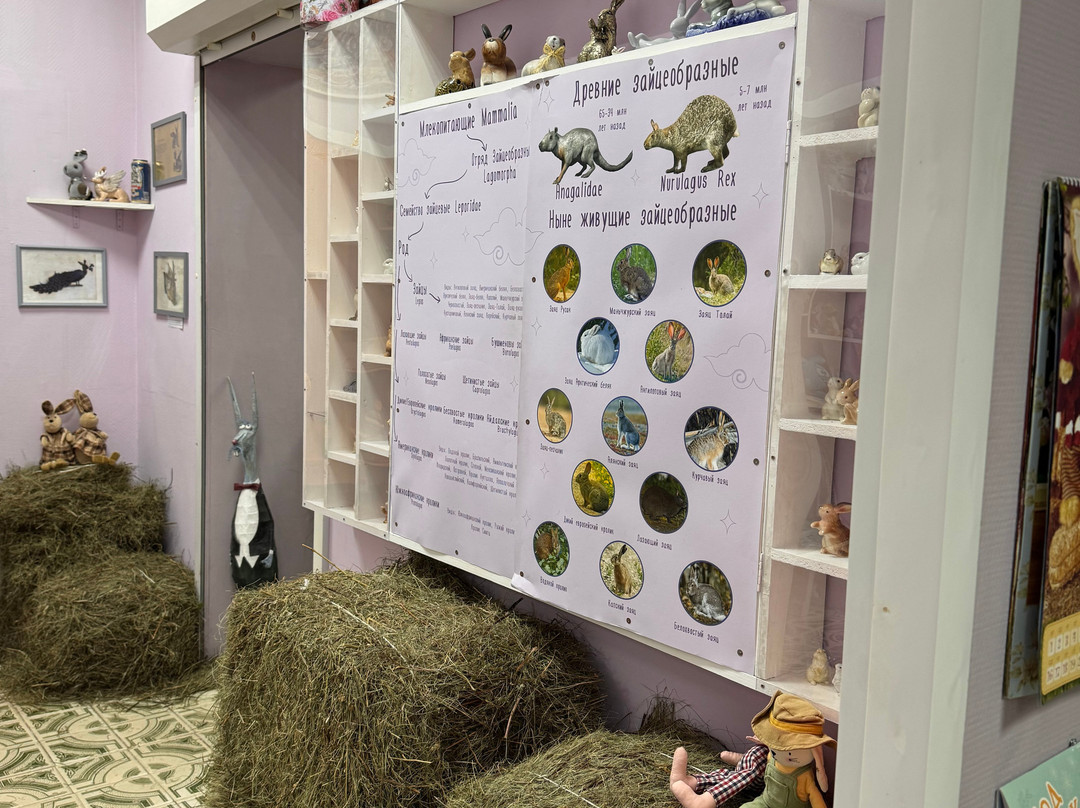 Rabbit and Hare Museum-Solnechnogorsk必去景点