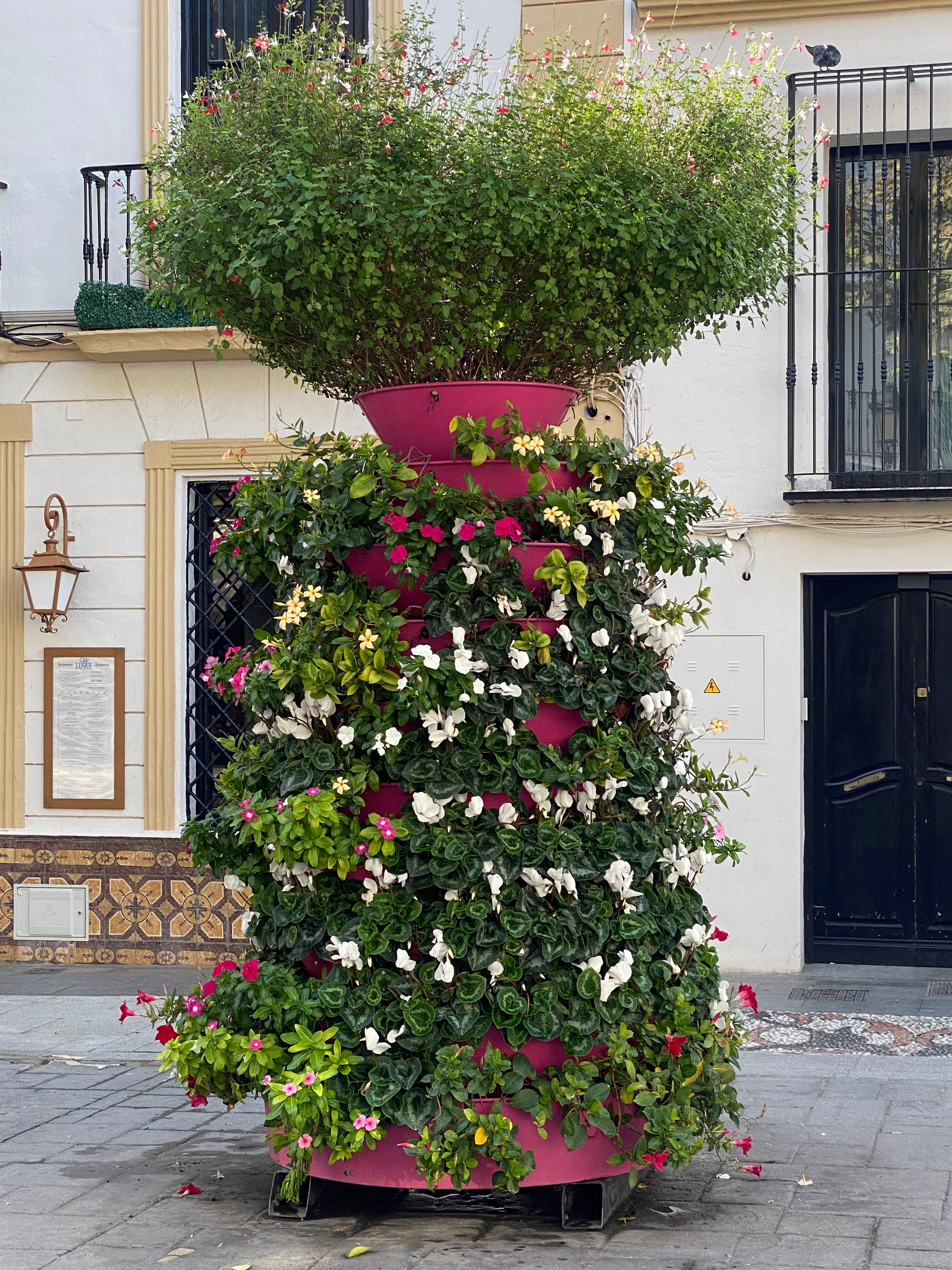 卡瓦纳广场酒店-官方