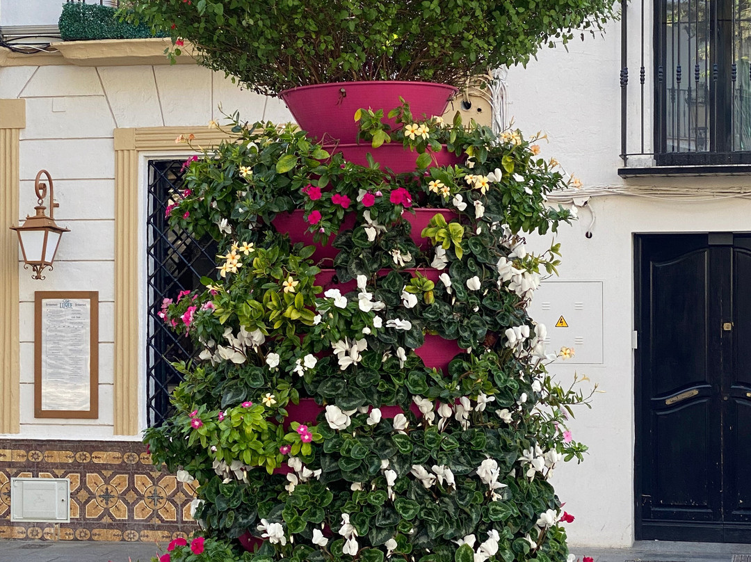 卡瓦纳广场酒店主图