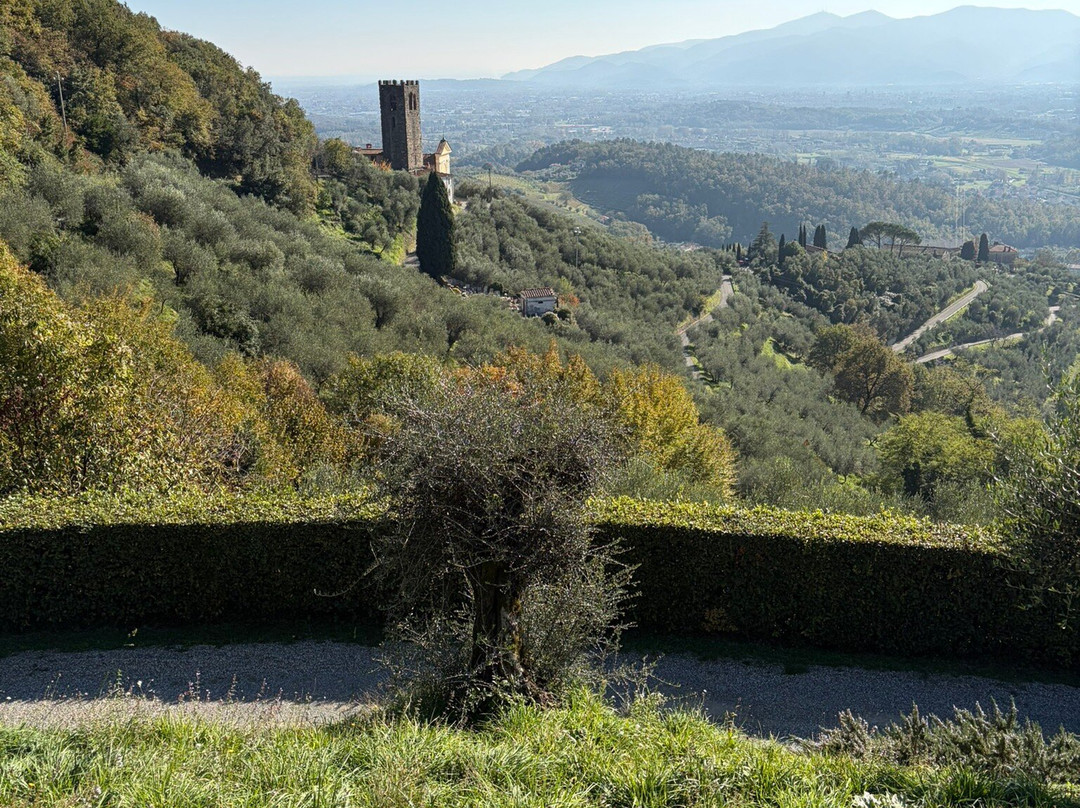 Biciclette Poli-卢卡必去景点