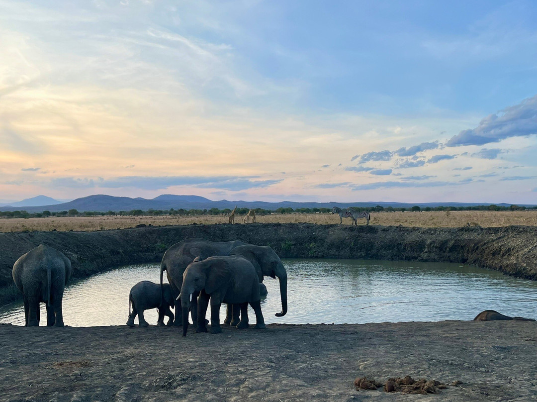 Bagamoyo Big 5 Safaris-巴加莫约必去景点