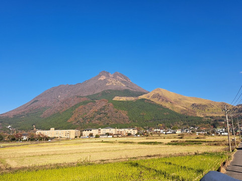 Ebisuya Yufuin-由布市必去景点