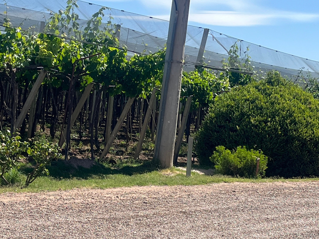 Bodega Santa Julia-Maipu必去景点