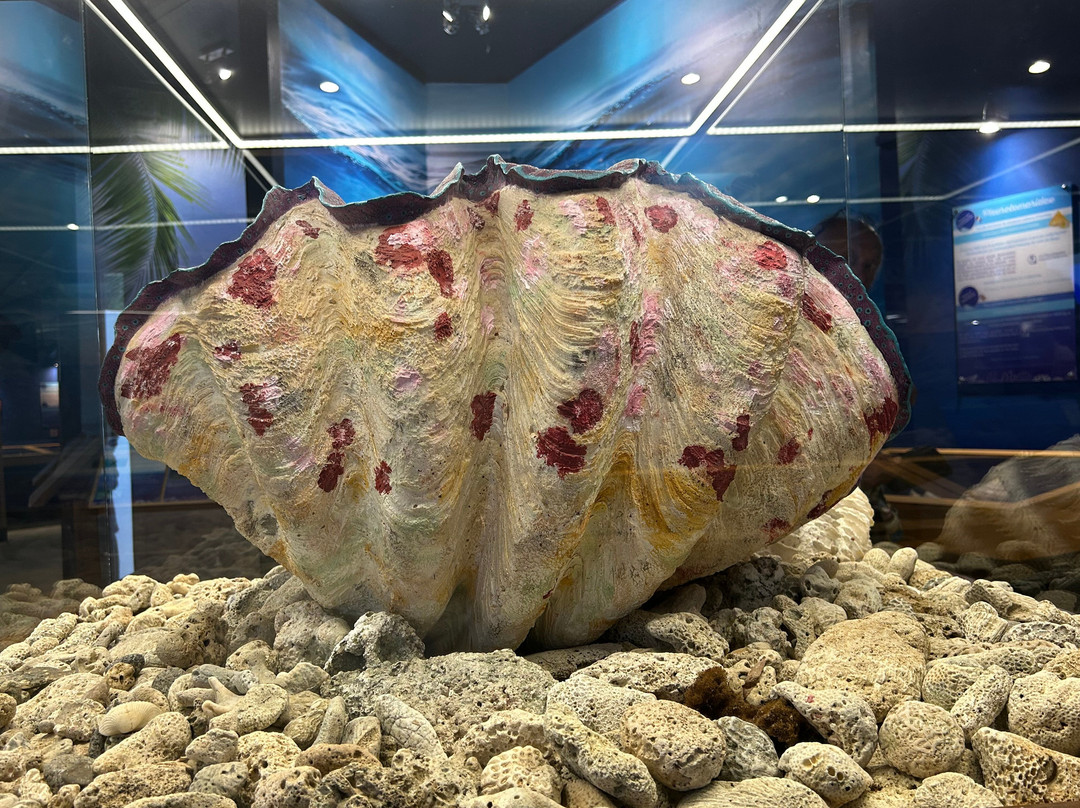 Le Musée de la Mer-Trois-Ilets必去景点