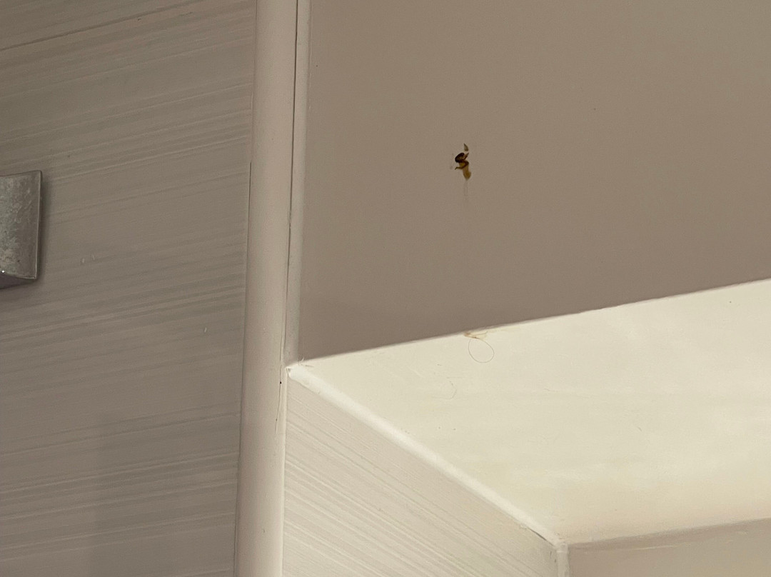 普瑞米尔哈洛酒店主图