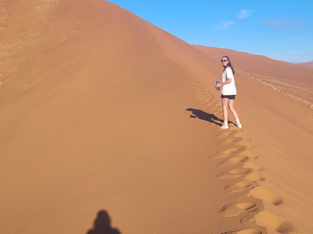 Wild Wind Safaris-温德和克必去景点