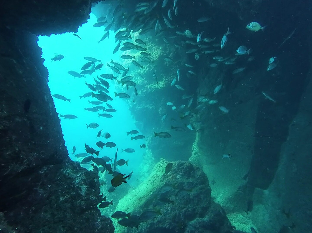 Puerto Rico Diving-波多黎各必去景点
