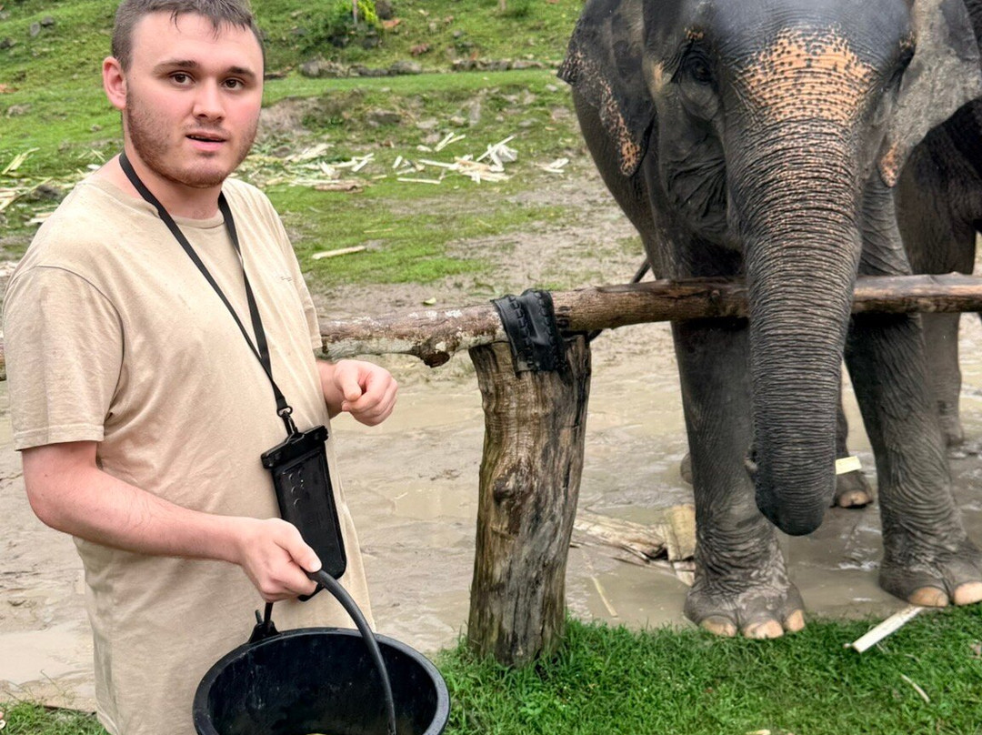 Tonsai  Elephant Care Camp Phuket-芭东海滩必去景点