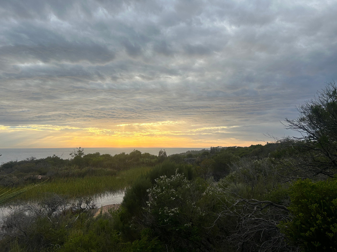 Positive Energy Adventures & Retreats-麦克夸利港必去景点