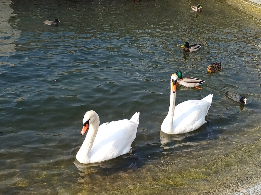 Lungolago da Como centro a Villa Olmo-科莫必去景点