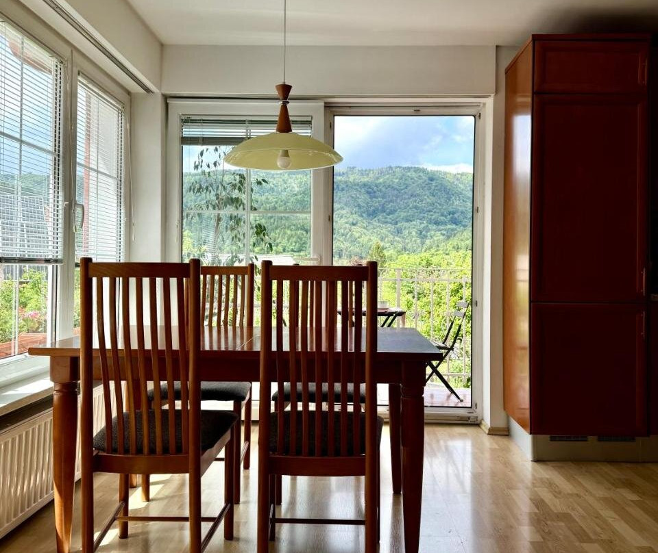 Apartments Znidar