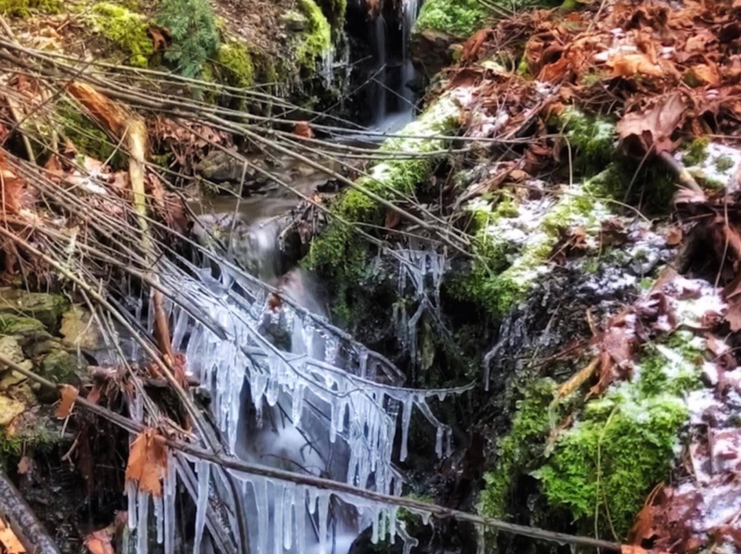 Judd Cove Preserve-Orcas Island必去景点