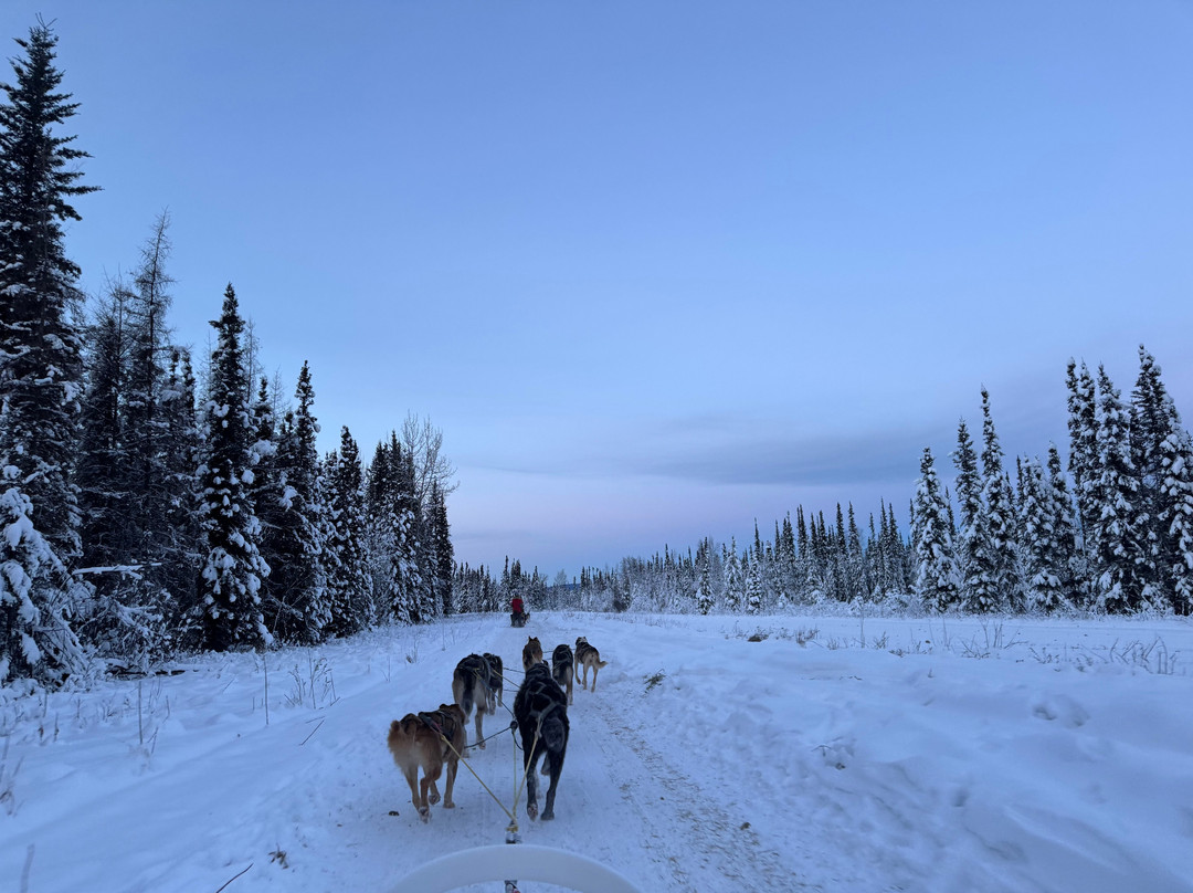 Rod's Alaskan Guide Service-费尔班克斯必去景点