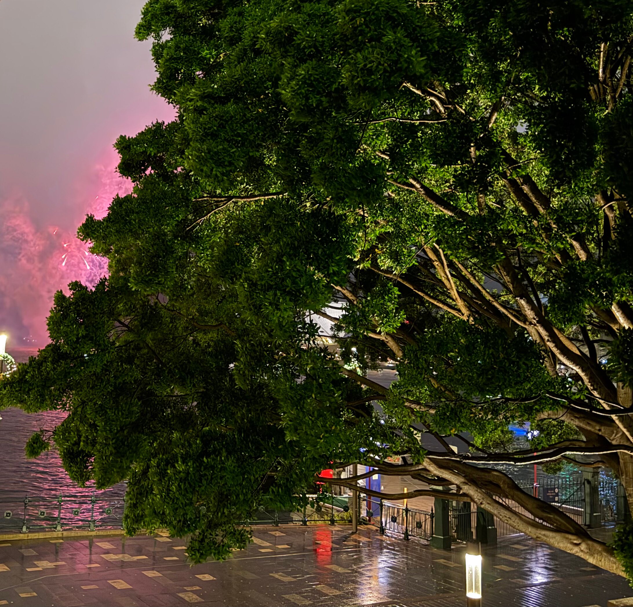 悉尼凯悦花园酒店-酒店景观
