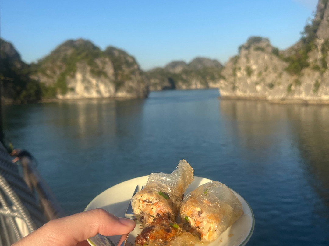 Aroma Viet Nam Travel-Cat Ba Town必去景点