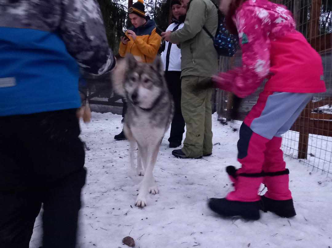 Arctic Circle Husky Park-罗瓦涅米必去景点