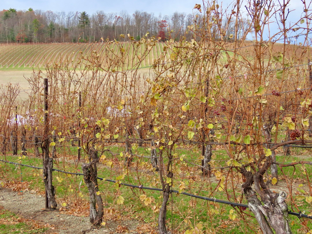 Galen Glen Winery-Andreas必去景点