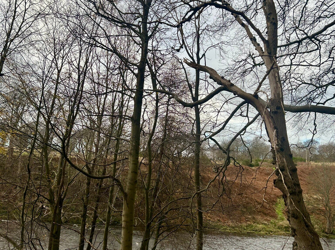 Seaton Park-阿伯丁必去景点