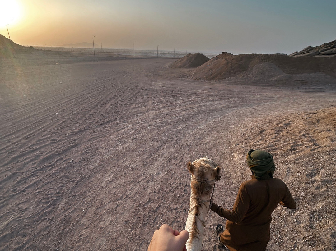 Bibo Viaggi-沙姆沙伊赫必去景点