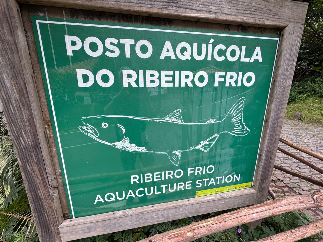 Posto Aquicola do Ribeiro Frio-Santana必去景点