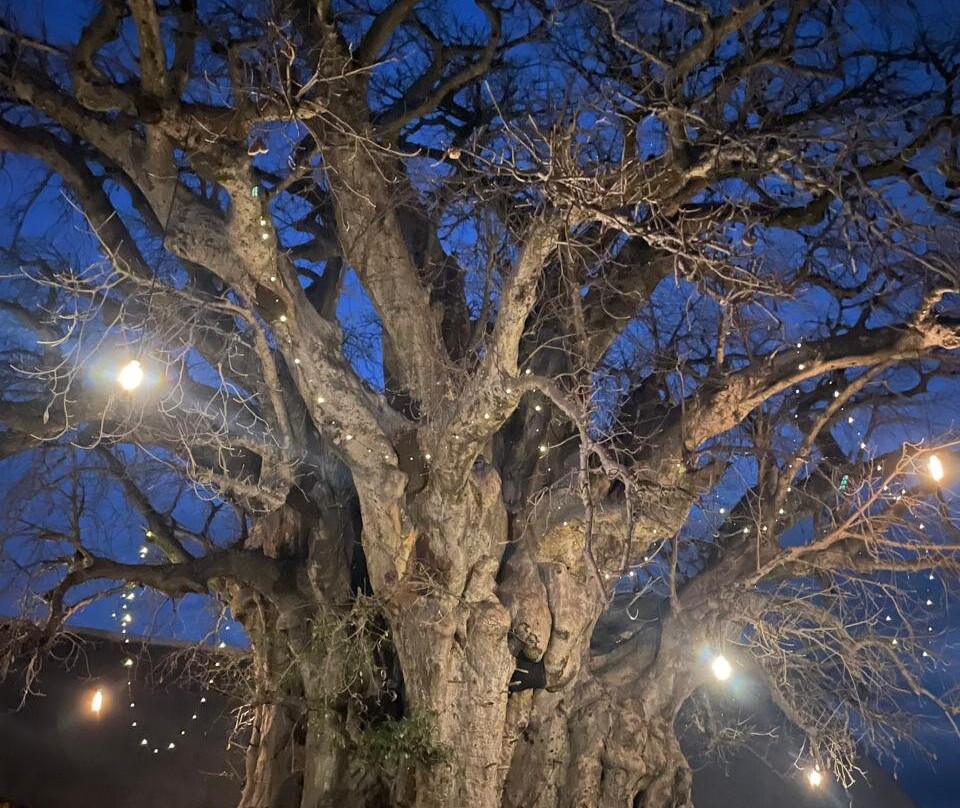 African Horizons-内罗毕必去景点