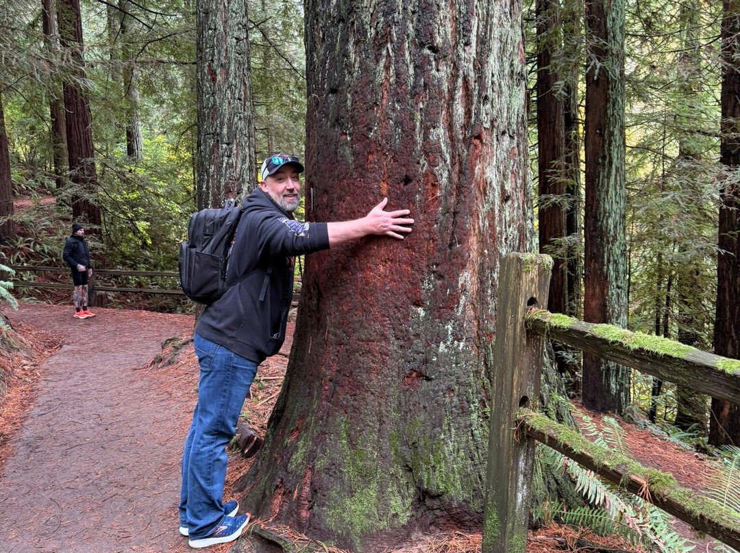 Hoyt Arboretum-波特兰必去景点