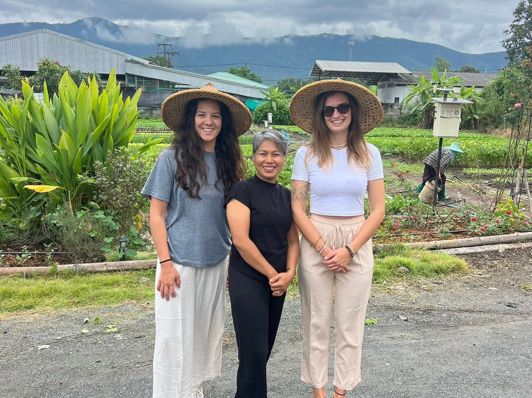 Rai Pluk Rak Thai Organic Farm-挽桴必去景点