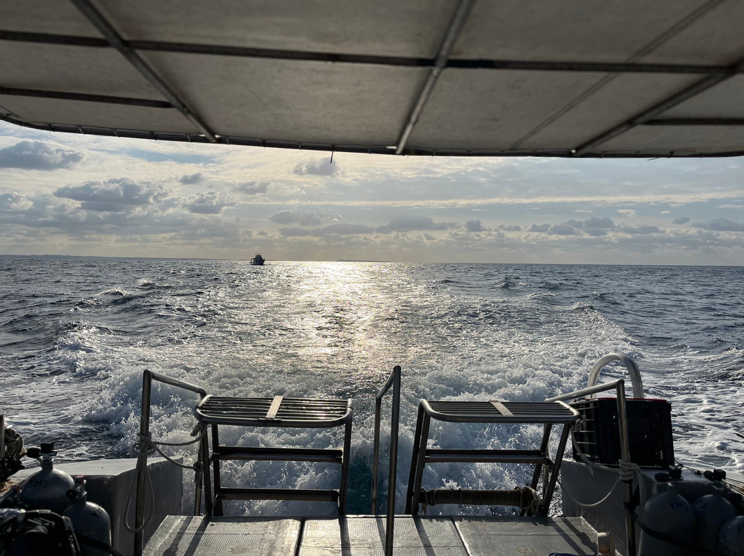 Miyakojima Diving Shop Guide-Ya-San-宫古岛市必去景点