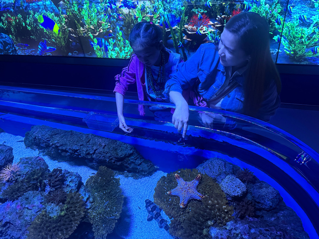 Marassi Aquarium & Underwater Zoo-Diyar Al Muharraq必去景点