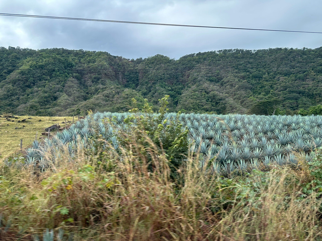 Vallarta Adventures-新瓦雅塔必去景点