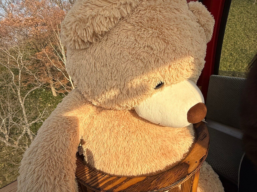 登别熊牧场-登别市必去景点