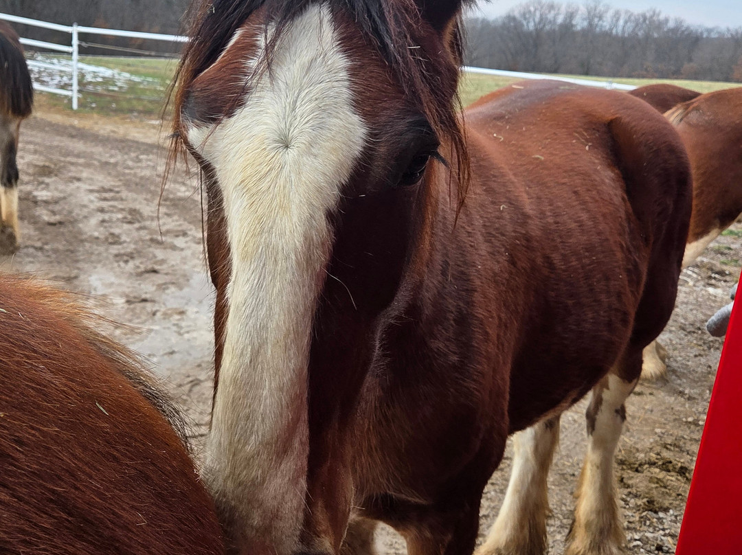 Warm Springs Ranch-Boonville必去景点