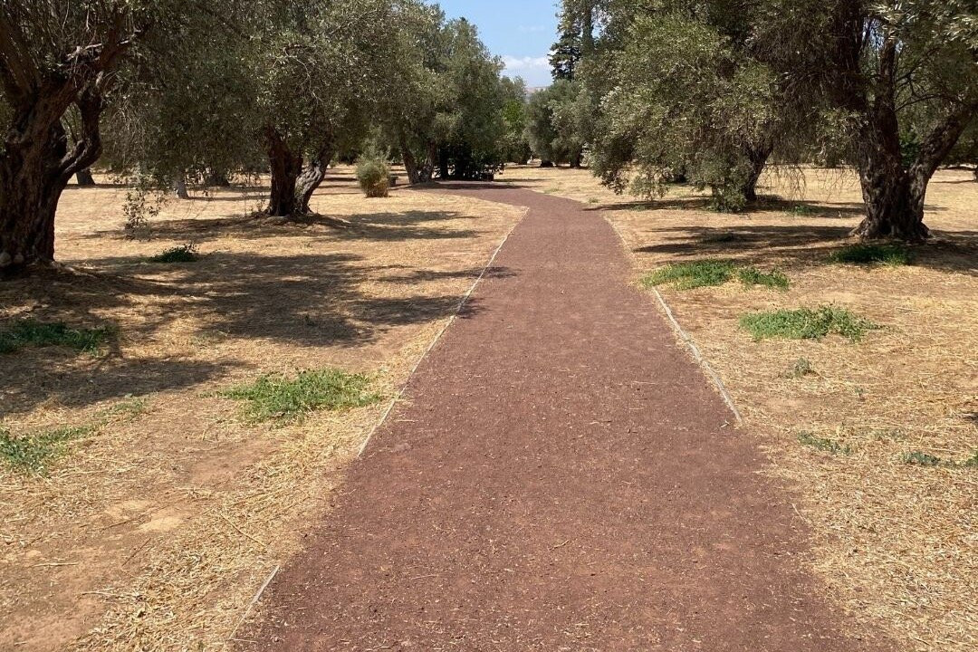 Olvios Experience - The Battle of Marathon and Ancient Symposium